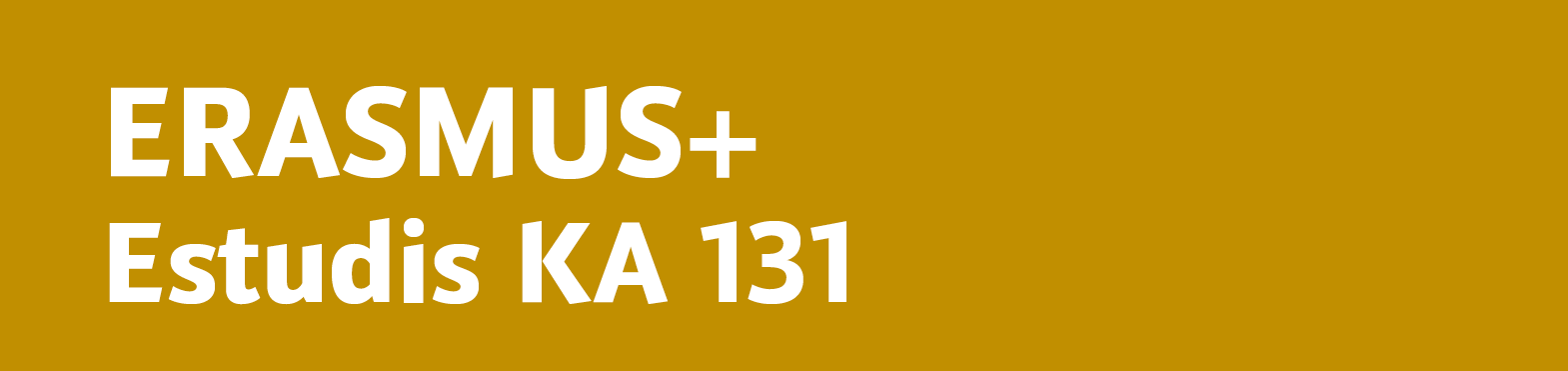 Erasmus Estudis KA131